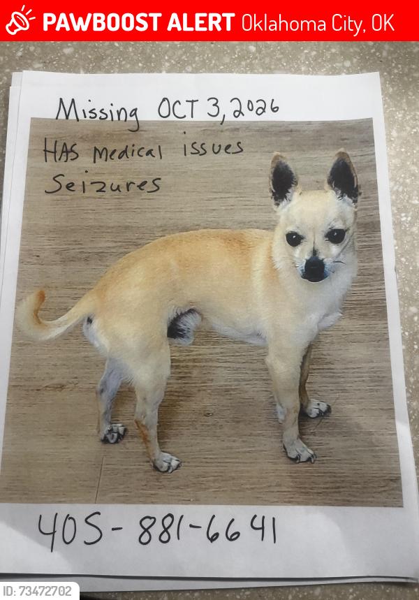 Lost Male Dog last seen Britton RD and N Western, Oklahoma City, OK 73114