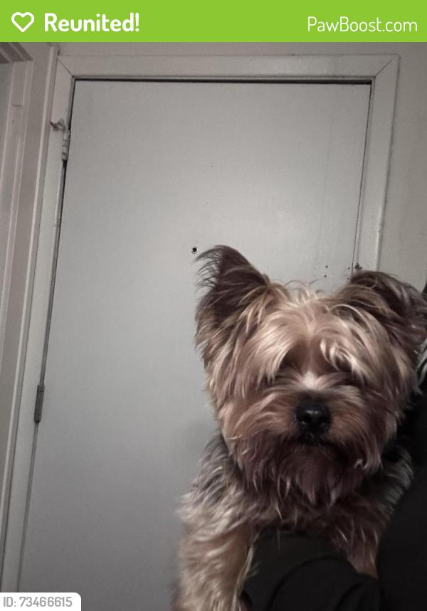 Reunited Unknown Dog last seen Powderhorn Park, Minneapolis, MN 55407
