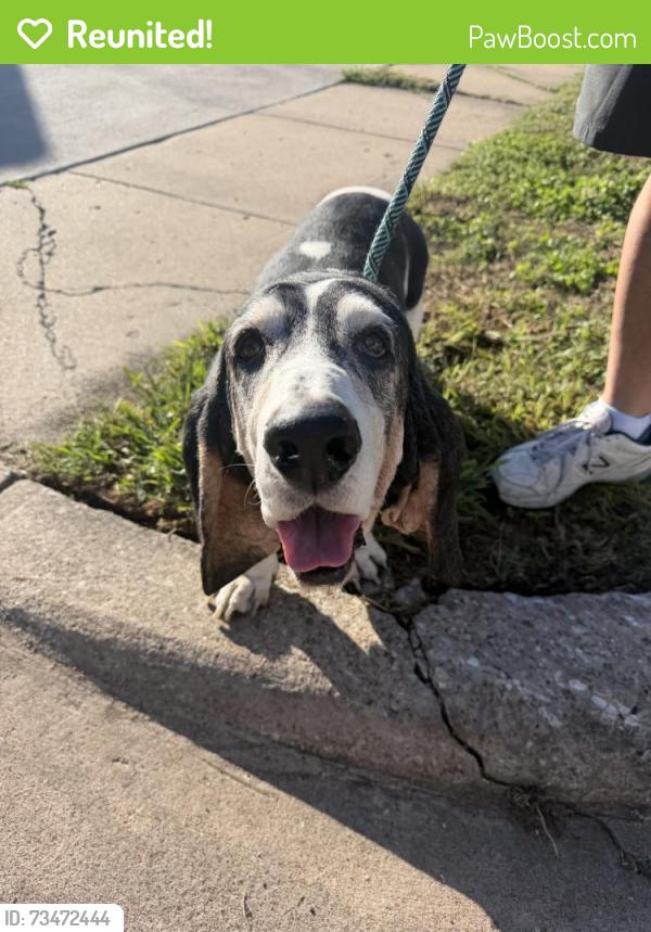 Reunited Male Dog last seen Beach St, Fort Worth, TX, USA, Fort Worth, TX 76111
