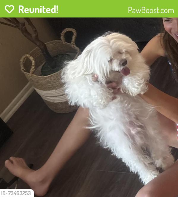 Reunited Male Dog last seen Long branch / Whitewood, Murrieta, CA 92563
