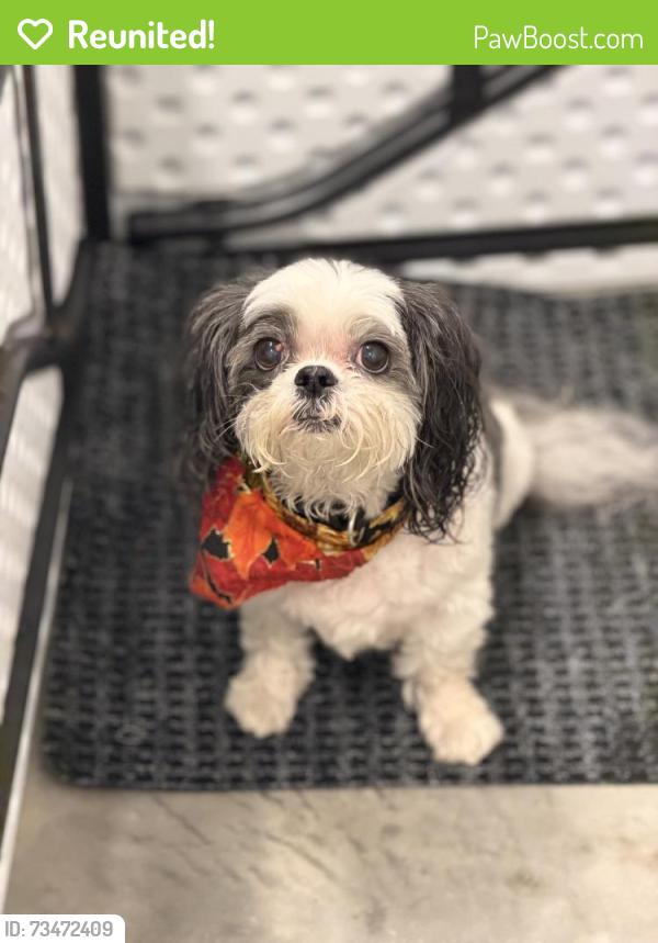 Reunited Unknown Dog last seen Abranova & Courtney Creek, Durham, NC 27713