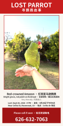Lost Unknown Bird last seen Near Celito Dr, Rosemead, CA 91770