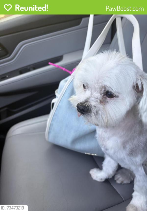 Reunited Male Dog last seen Rancho del Rey pkwy, Chula Vista, CA 91910