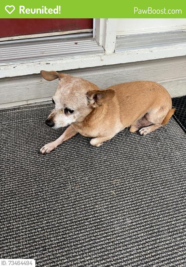 Reunited Male Dog last seen Smoketree circle and Twin Oaks in Ooltewah, Hamilton County, TN 37363