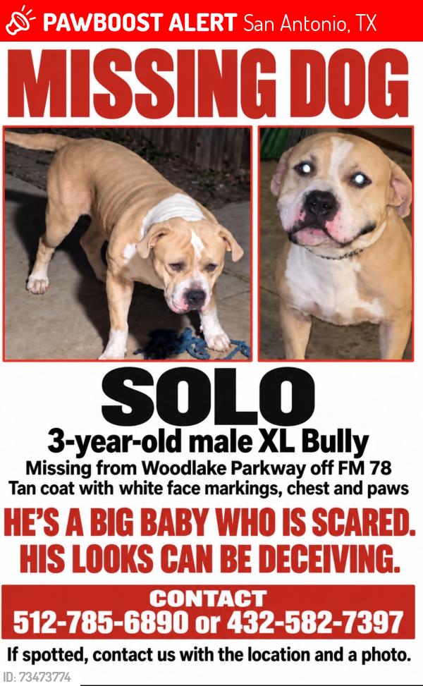 Lost Male Dog last seen woodlake parkway, San Antonio, TX 78244