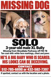 Lost Male Dog last seen woodlake parkway, San Antonio, TX 78244