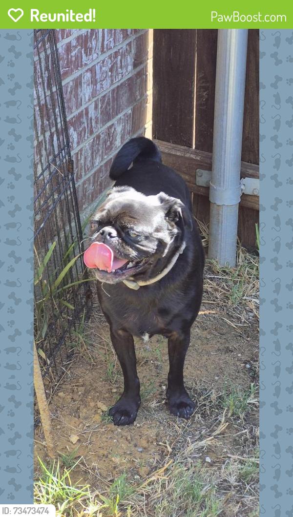 Reunited Unknown Dog last seen Hwy 174 and Lakewood Drive, Burleson, TX 76028