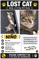 Lost Male Cat last seen Willard st &f st, Philadelphia, PA 19134