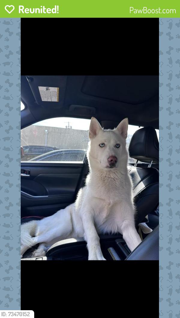 Reunited Male Dog last seen Beverly Rd, South Huntington, NY 11746, USA, South Huntington, NY 11746
