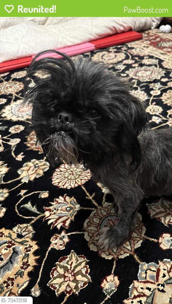 Reunited Female Dog last seen Ross and Warsaw, Cincinnati, OH 45205
