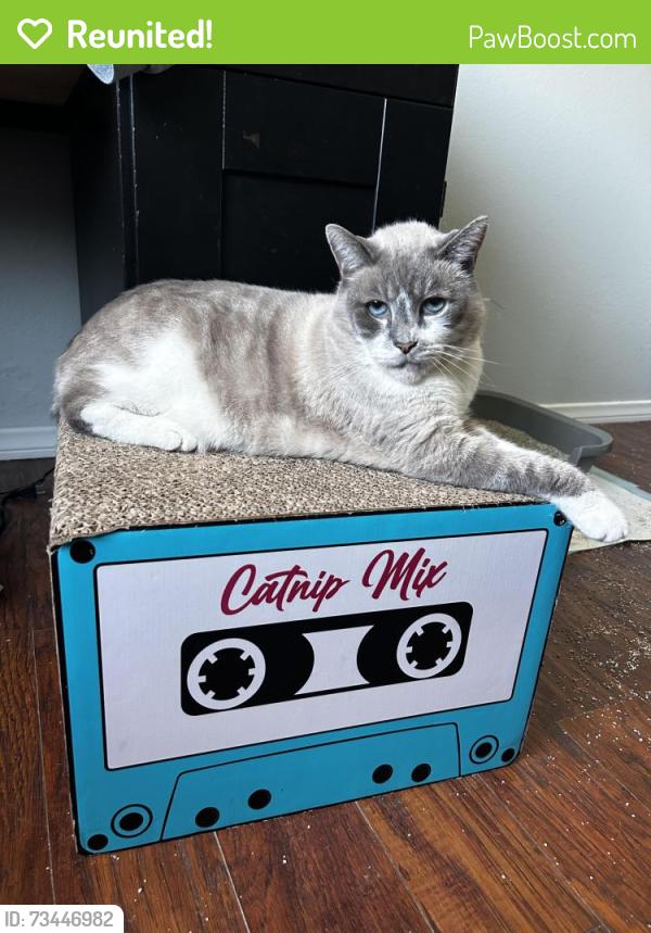 Reunited Male Cat last seen Logan St., Santa Ana, CA 92701