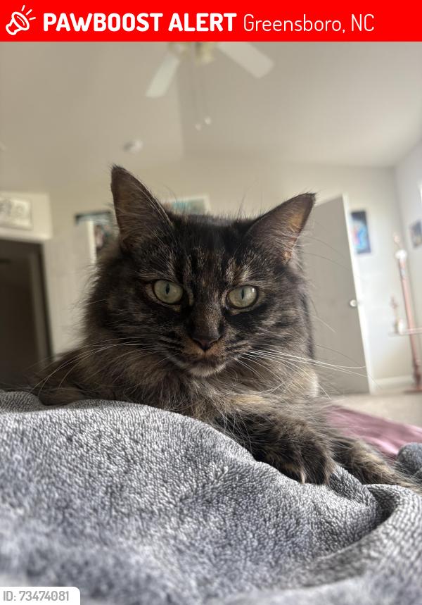 Lost Female Cat last seen Flowering path ln , qual oak drive, Greensboro, NC 27405
