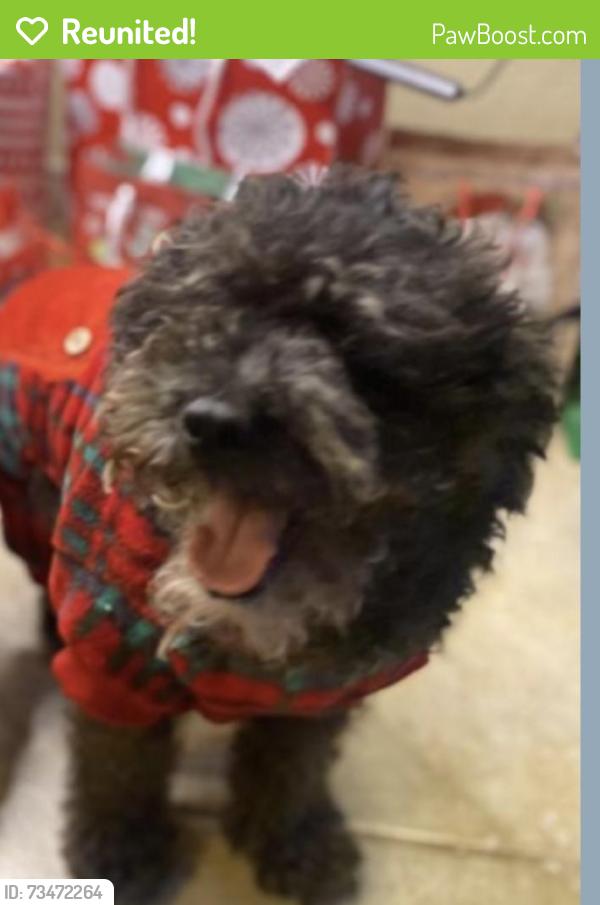 Reunited Male Dog last seen Western Center blvd, Fort Worth, TX 76131