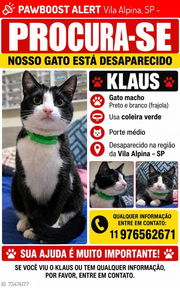 Lost Male Cat last seen Vila alpina., Vila Alpina, SP 03204-000