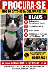 Lost Male Cat last seen Vila alpina., Vila Alpina, SP 03204-000