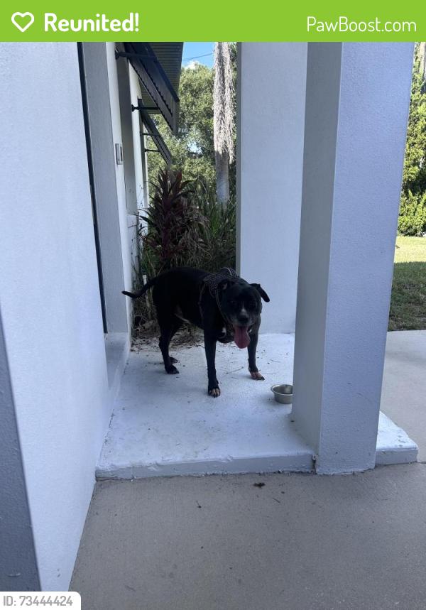 Reunited Male Dog last seen Juvenile Center, Orlando, FL 32806