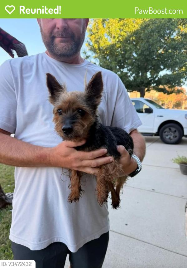 Reunited Female Dog last seen Cholla Cactus & Spanish Needle, Fort Worth, TX 76177
