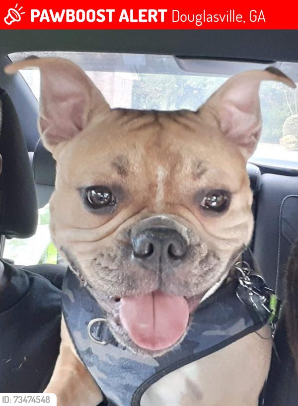 Lost Male Dog last seen In Fairways subdivision, Douglasville, GA 30134