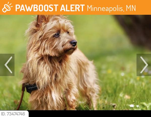 Found/Stray Unknown Dog last seen Near St. east side of Lake Nokomis, Minneapolis, MN 55417