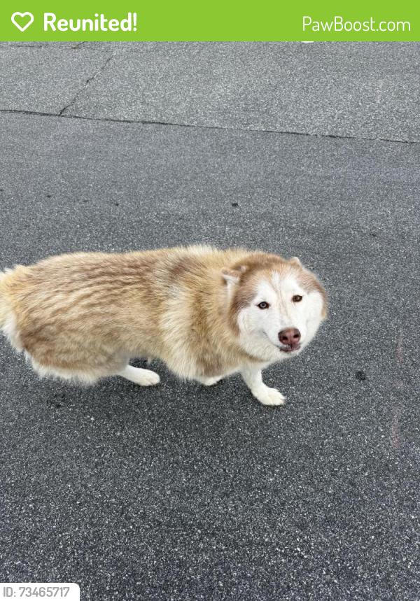 Reunited Unknown Dog last seen Thomasville medical center, Thomasville, NC 27360