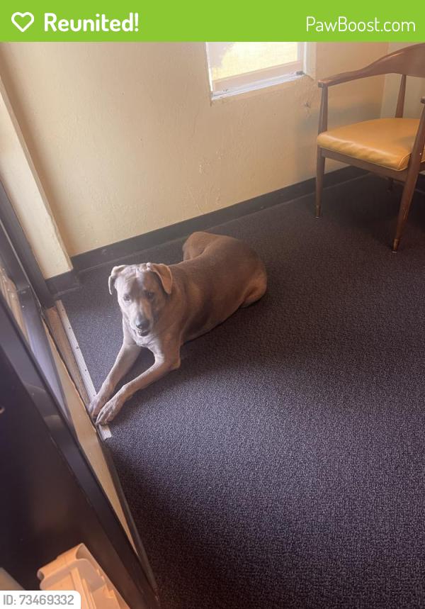 Reunited Male Dog last seen E. Harris Ave, South San Francisco, CA 94080