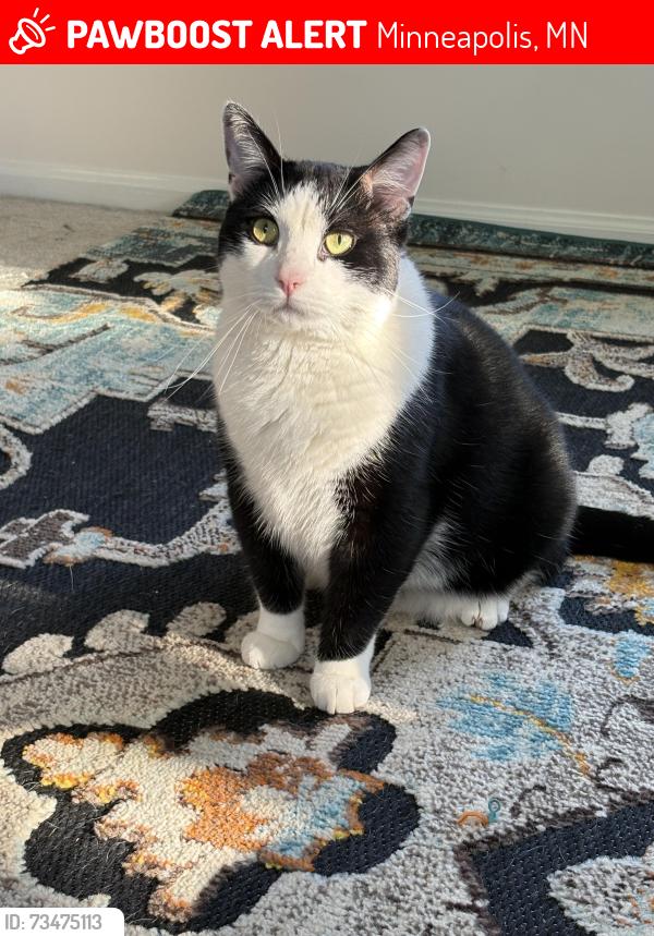 Lost Male Cat last seen Lind-Bohanon Neighborhood, Minneapolis, MN 55430
