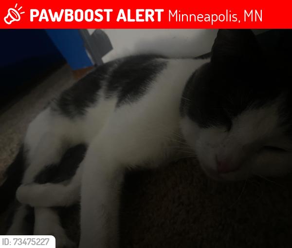 Lost Male Cat last seen parklawn ave, Minneapolis, MN 55435