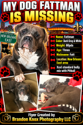 Lost Male Dog last seen I10 service rd and Dwyer, New Orleans, LA 70126