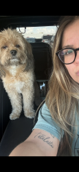 Reunited Male Dog last seen Walmart off I20 South Midland, Midland, TX 79701