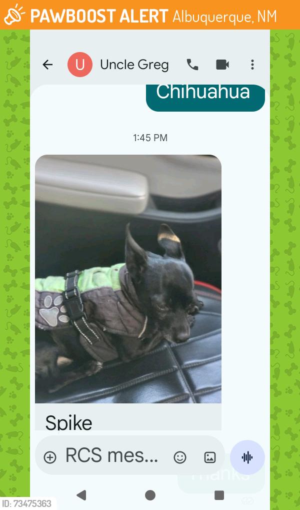 Found/Stray Male Dog last seen East side shelter, Albuquerque, NM 87112