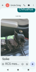 Found/Stray Male Dog last seen East side shelter, Albuquerque, NM 87112