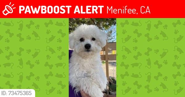 Lost Male Dog last seen Near McLaughlin Rd, Menifee, CA 92586, Menifee, CA 92586