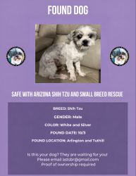 Found/Stray Male Dog last seen Arlington and Tuthill, Buckeye, AZ 85326