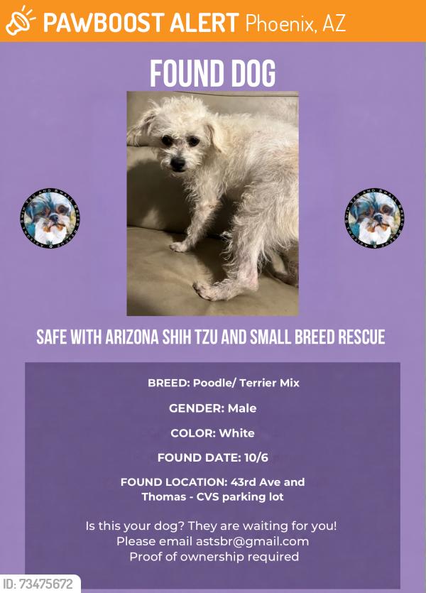 Found/Stray Male Dog last seen 43rd ave and Thomas, Phoenix, AZ 85304