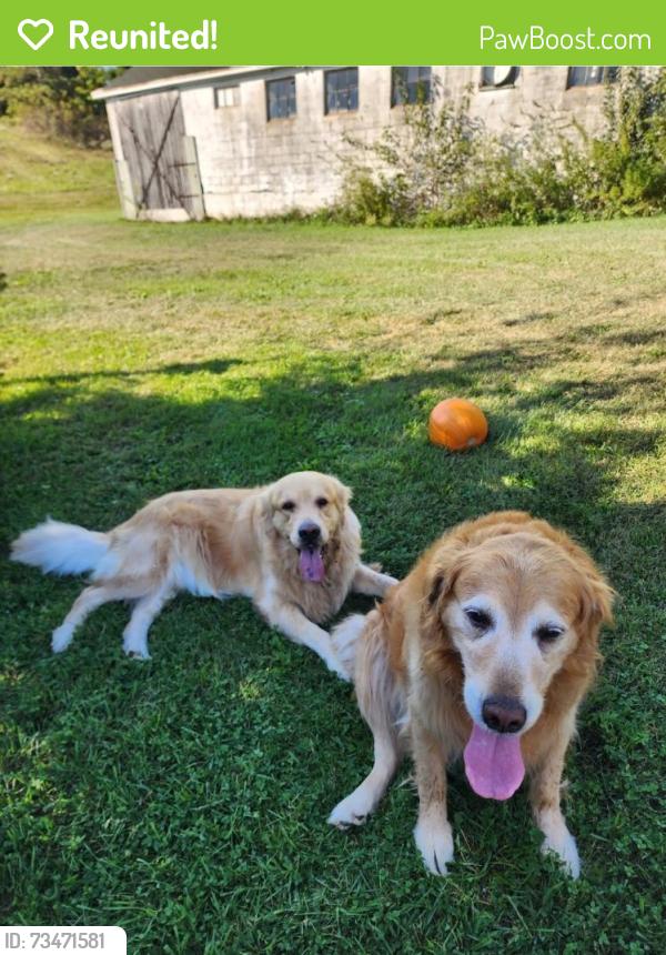 Reunited Male Dog last seen Lily Rd, Oconomowoc, WI 53066