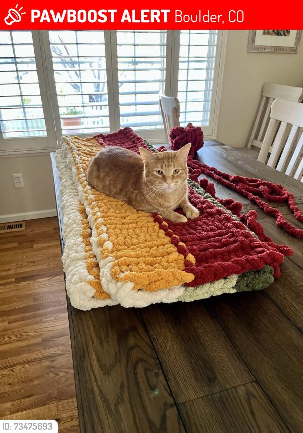 Lost Male Cat last seen 15th and Redwood Ave, Boulder, CO 80304