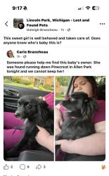 Reunited Female Dog last seen Allen Park, MI 48101, USA, Allen Park, MI 48101