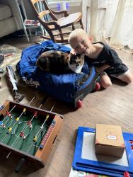 Lost Female Cat last seen Near W Esthner Ct- just south of Kellogg of maize Rd, Wichita, KS 67209