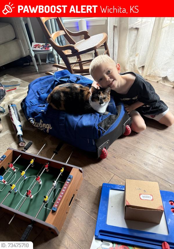 Lost Female Cat last seen Near W Esthner Ct- just south of Kellogg of maize Rd, Wichita, KS 67209