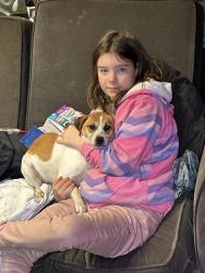 Lost Female Dog last seen Holly shelter road and Harris creek loop road, Onslow County, NC 28540