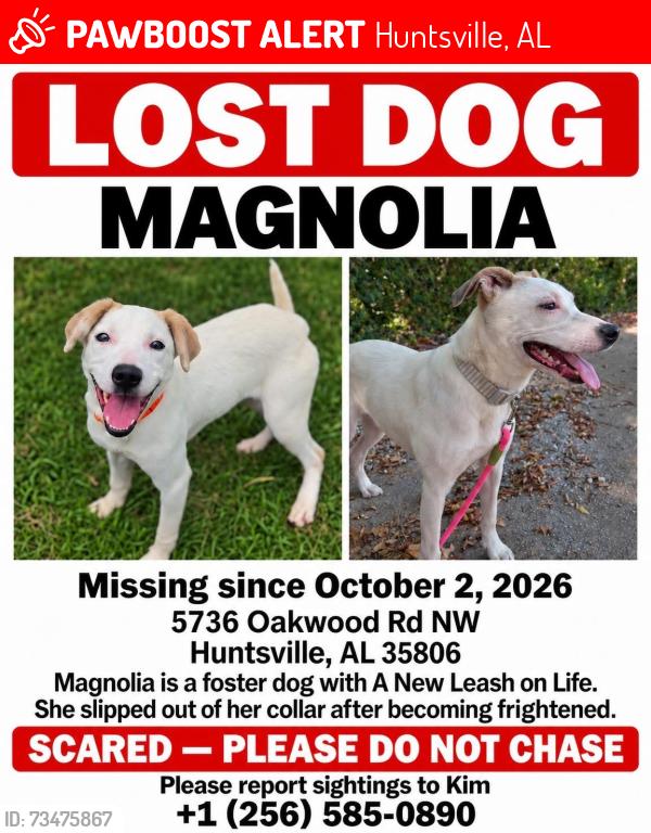Lost Female Dog last seen Last sighting was behind Westminster Christian Academy., Huntsville, AL 35806
