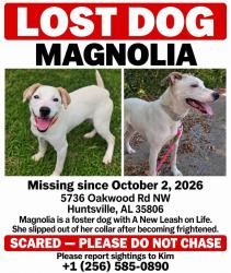 Lost Female Dog last seen Last sighting was behind Westminster Christian Academy., Huntsville, AL 35806