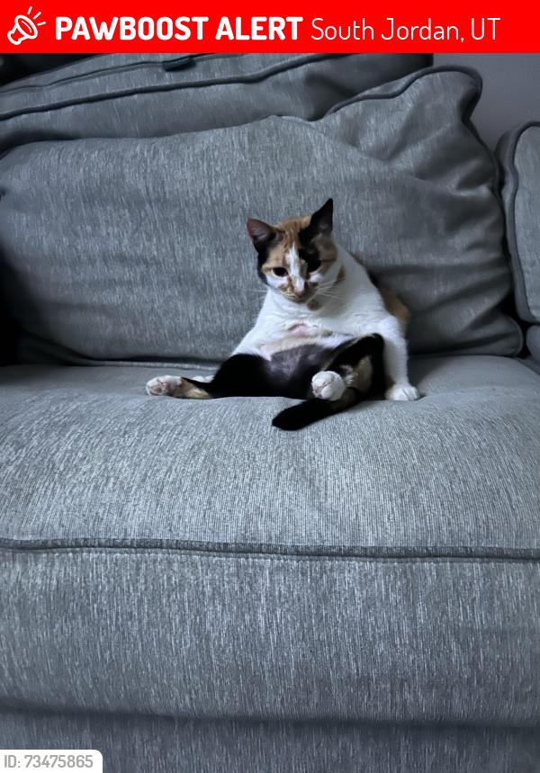 Lost Female Cat last seen Near west, South Jordan, UT 84095