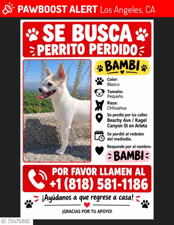 Lost Female Dog last seen Arleta high school, Los Angeles, CA 91331