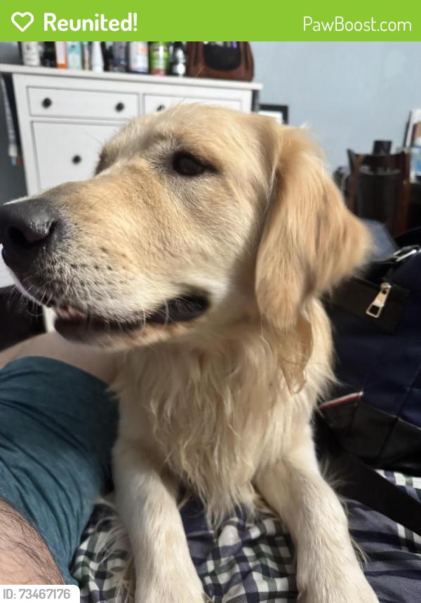 Reunited Male Dog last seen Manzanita Park, Hacienda Heights, CA 91745