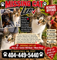 Lost Male Cat last seen Centerhill Church Road/Hwy 20, Loganville, GA 30052
