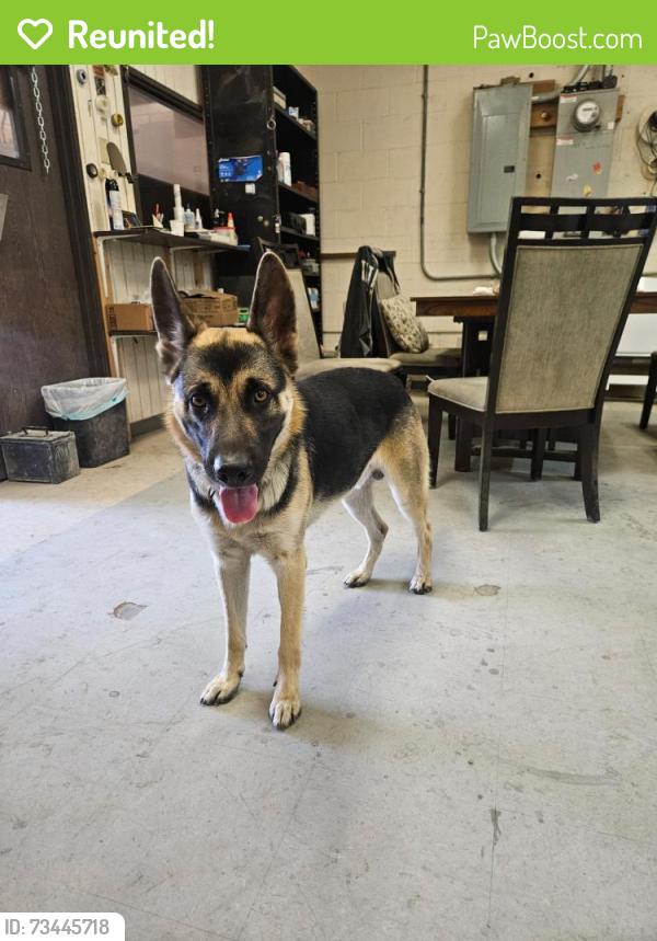 Reunited Male Dog last seen Park ave x 4th str, San Fernando, CA 91340