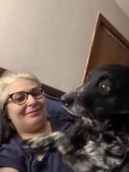 Reunited Female Dog last seen Fairview ave, Urbana, IL 61801