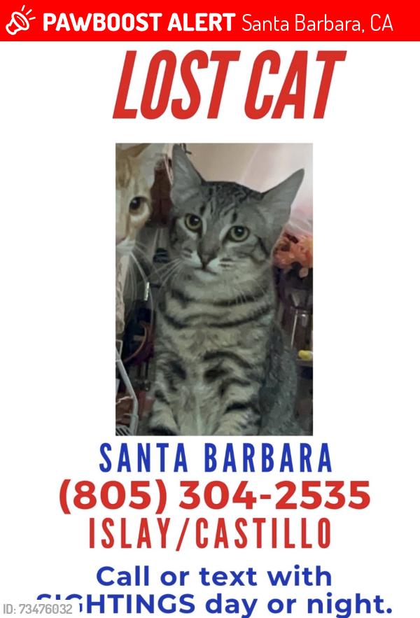 Lost Male Cat last seen Castillo, Santa Barbara, CA 93101