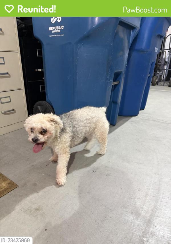 Reunited Female Dog last seen Whitney Ranch Rec Center, Henderson, NV 89014